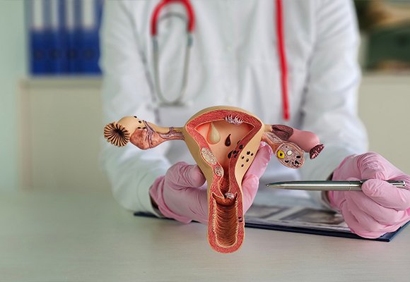 Scope Of Services — Scope of Services | Ruby Hall Clinic